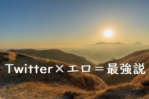 Twitter初心者(社畜)でもできた!【エロ動画投稿で月1万~】2023も稼ぐ方法を堂々公開中